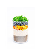 Menu for dogs "Insect Power" with insect protein and pumpkin