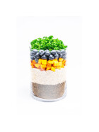 Menü für Hunde "Insekten Power" mit Insektenprotein und Kürbis 150g