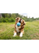 Dog Fun Ball from Wolters, different colors