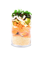 Menü für Hunde "Fischers Fritz" mit Lachs und Quinoa im Kunstdarm