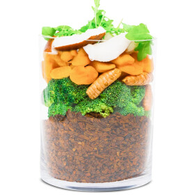 Wet Food for Dogs Insekten Glück 800g