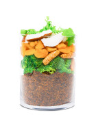 Wet Food for Dogs Insekten Glück 800g