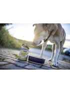 Wet Food for Dogs Insekten Glück