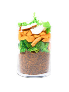 Menü f. Hunde Insekten Glück