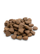 It´s Time To reLACHS - napani Trockenfutter mit Lachs, Adult 12 kg